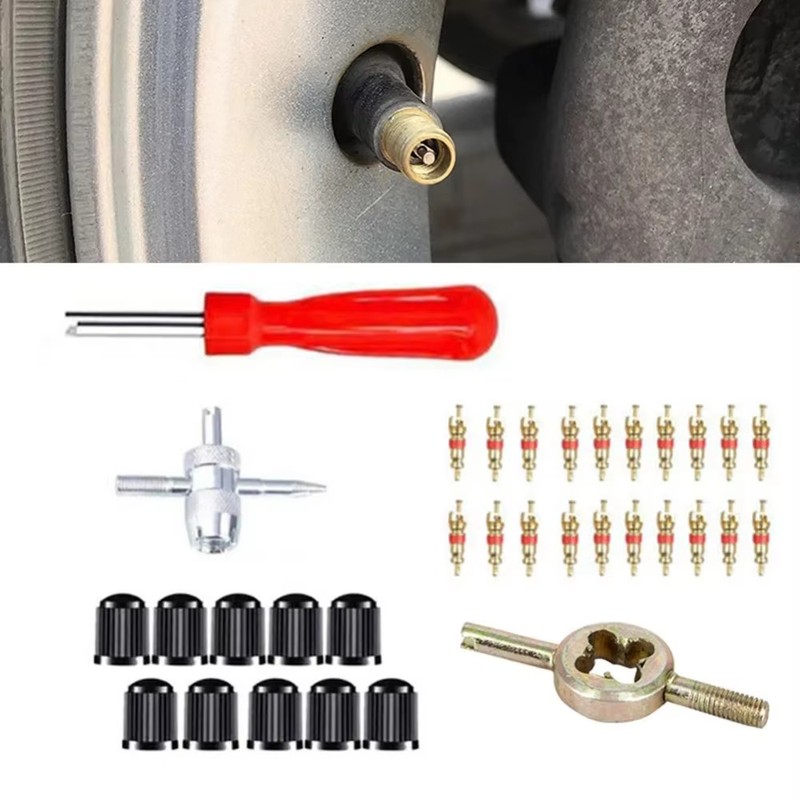 Schrader Valve Core Service Kit for Tire Maintenance – 33-Piece