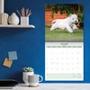 Baker and Bray West Highland White Terrier Kalender 2026, großer