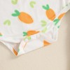 Loalirando Newborn Baby Girl Easter Outfits Carrot/Bunny Print Ruffle Trim