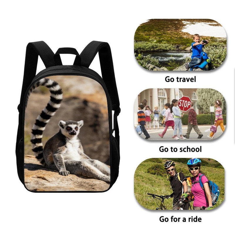 Amzbeauty Ring-Tailed Lemur Print Backpack Kids Boys Elementary School Bag