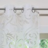 ESLIR Curtains with Eyelets Burnout Window Curtain Transparent Eyelet Curtain