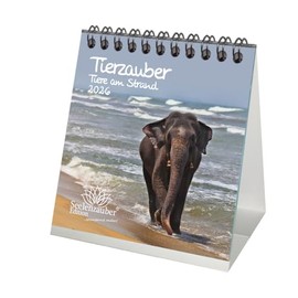 Tierzauber Beach Desk Calendar 10 cm x 10 cm for 2026 Different Animals – Gift Set Contents: 1 x Calendar, 1 x Christmas Pendant (Total 2 Pieces)