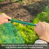 Bird Netting Garden Mesh for Strawberry Fruit Protection Raised Beds