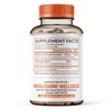 Wholesome Wellness Liposomal Vitamin C Capsules (200 Pills 1500mg Buffered)
