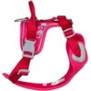 Hurtta Weekend Warrior Dog Harness, Ruby, 39-47 in