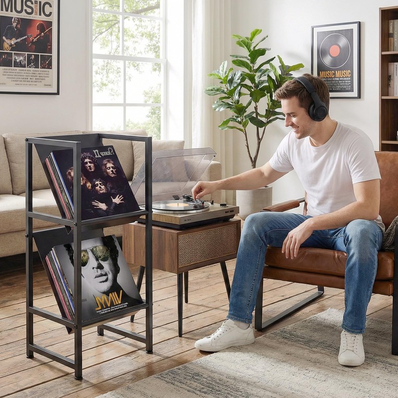 VonDream Conceptual Design Vinyl Record Storage, 2 Tier Black Metal