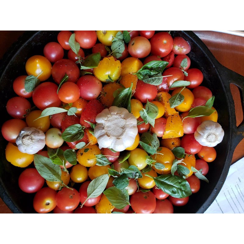 Rhiannons_garden_goodies Ditmarsher Micro Dwarf Tomato Seeds Organic 10 Count *Free