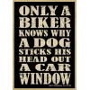 Only a Biker Knows Why A Dog Sticks His Head...
