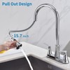 HOMELODY 2 Handles Kitchen Faucet with Pull Down Sprayer for