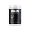 Alpha Nutrition Labs Micronized Creatine, Powder, Unflavored 500g