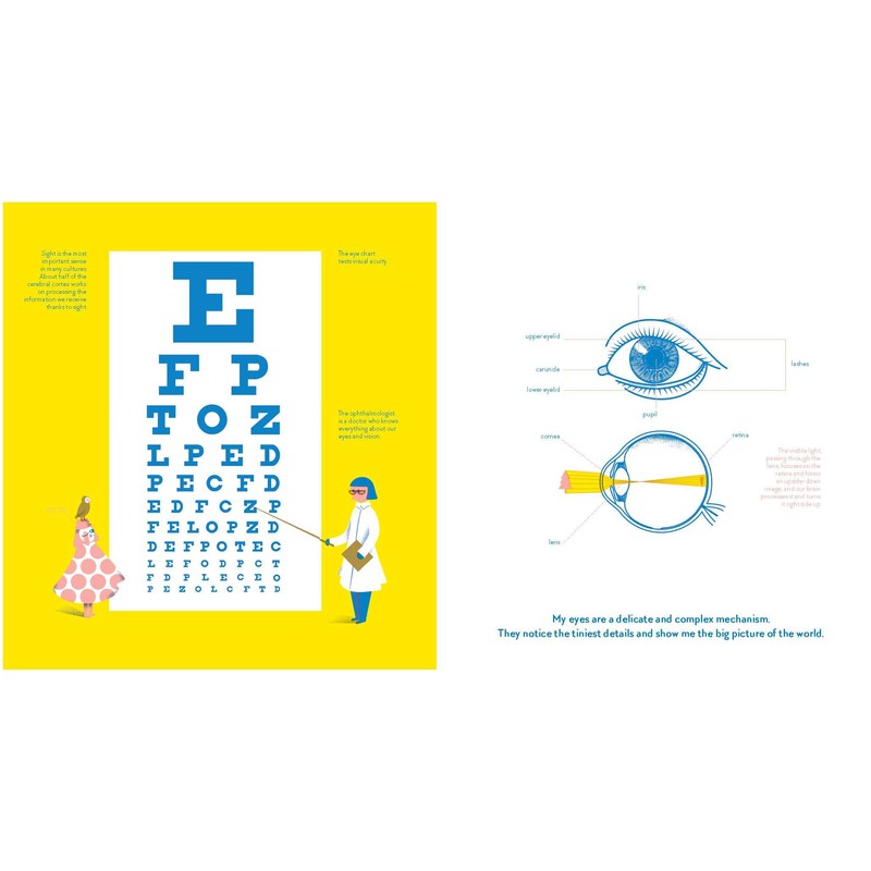 Sight: Glimmer, Glow, SPARK, FLASH!