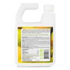 EcoRaider Ant & Crawling Insect Killer (34 OZ), 100% Fast