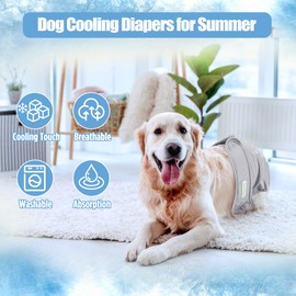 wegreeco Summer Cooling Dog Diapers Female, Reusable Dog Cooling Diapers, High Absorbent Puppy Doggie Panties for Heat, Excitable Urination, or Incontinence, Self-Cooling, 5 Pack(Elegant, Small)