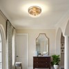 Luminzone Gold Flush Mount Ceiling Light, 2-Light Hallway Light Fixtures,