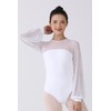 Dance Elite Aisling Mesh Shoulder and Sleeves Dance Leotard For