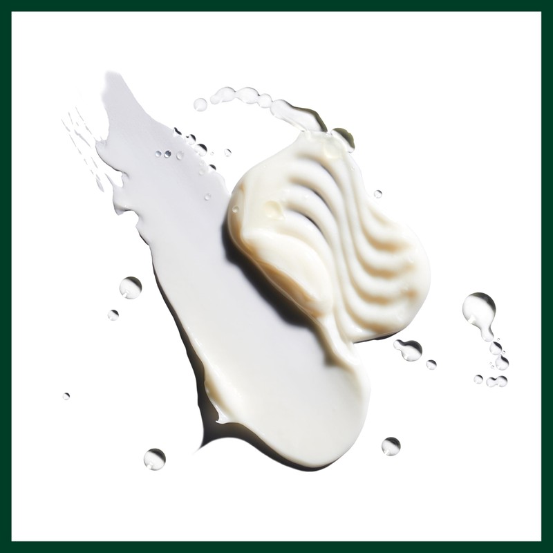 Aveda Nutriplenish Conditioner Deep Moisture | Rich Superfood Conditioner for