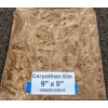 Carpathian Elm Burl wood veneer 9" x 9" raw no