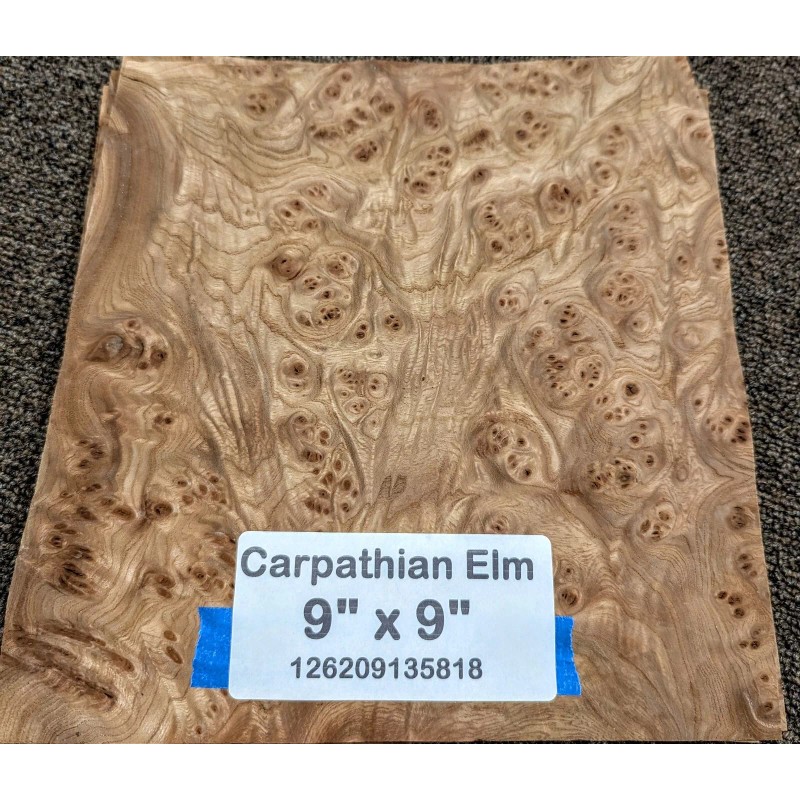 Carpathian Elm Burl wood veneer 9" x 9" raw no