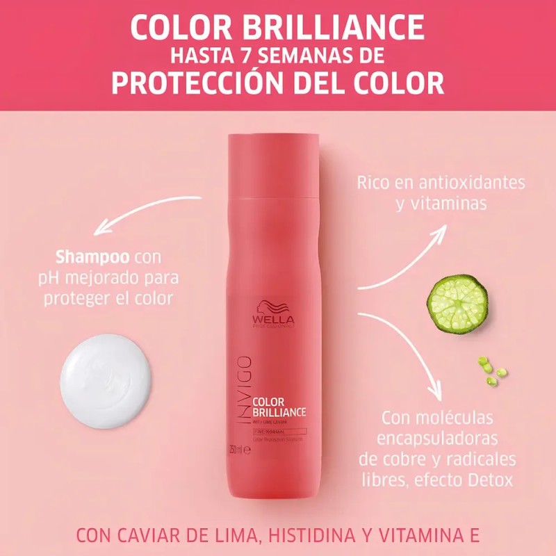 Kit Tratamiento para Cabello Teñido Wella Invigo Color Brilliance Shampoo