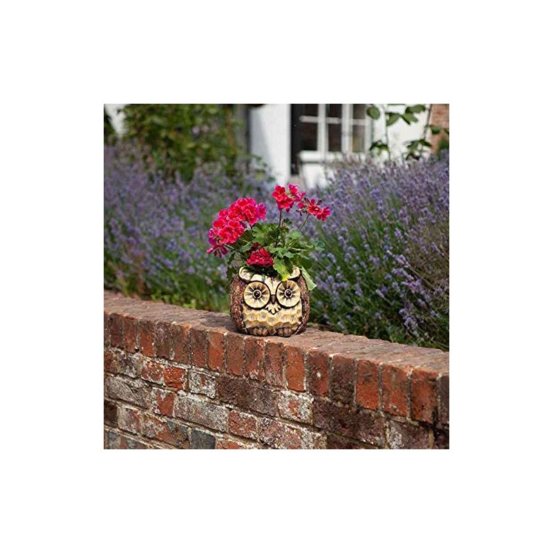 Smart Garden Owl Planter