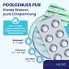 AQUANEXO Test Tablets for Pool pH and Chlorine, 60 Phenol