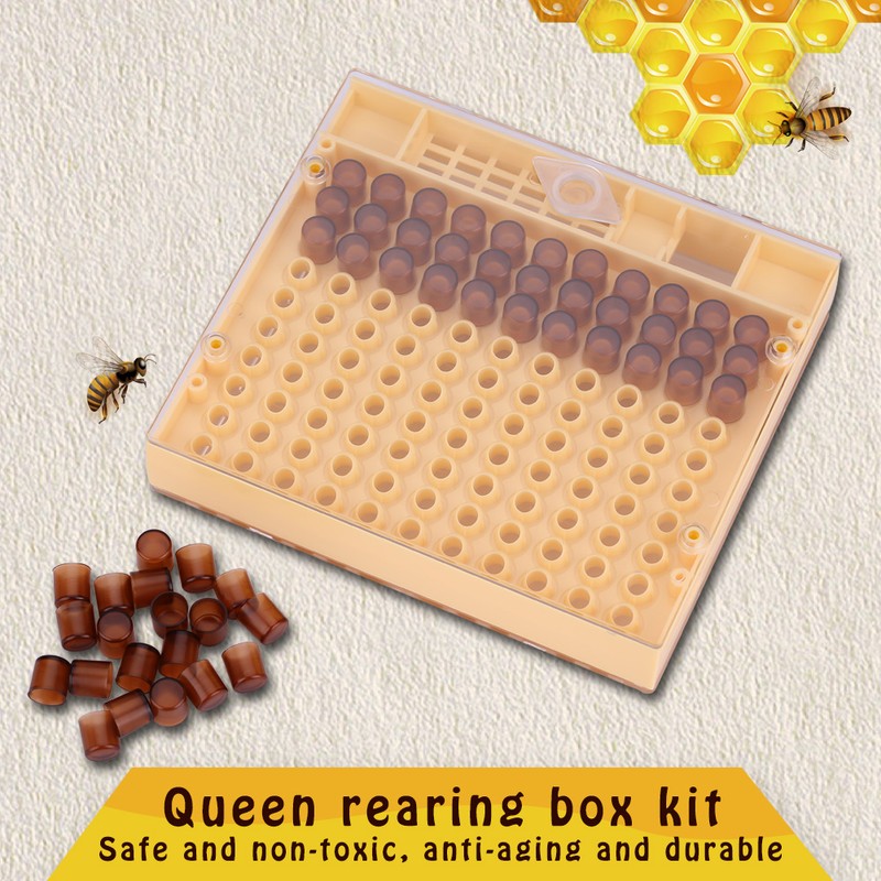 Queen Rearing Cup Kit Bee Cultivating Tool Plastic Beekeeping Box