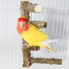 La La Pet Natural Wood Bird Perch Stand Parrot Standing