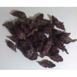Our Sacred Garden 7 grams Indian Warrior Flowers (Pedicularis Densiflora) Wildharvested USA