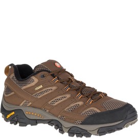 Merrell Men's Moab 2 Gtx Hiking Shoe, Earth, 7.5 W US