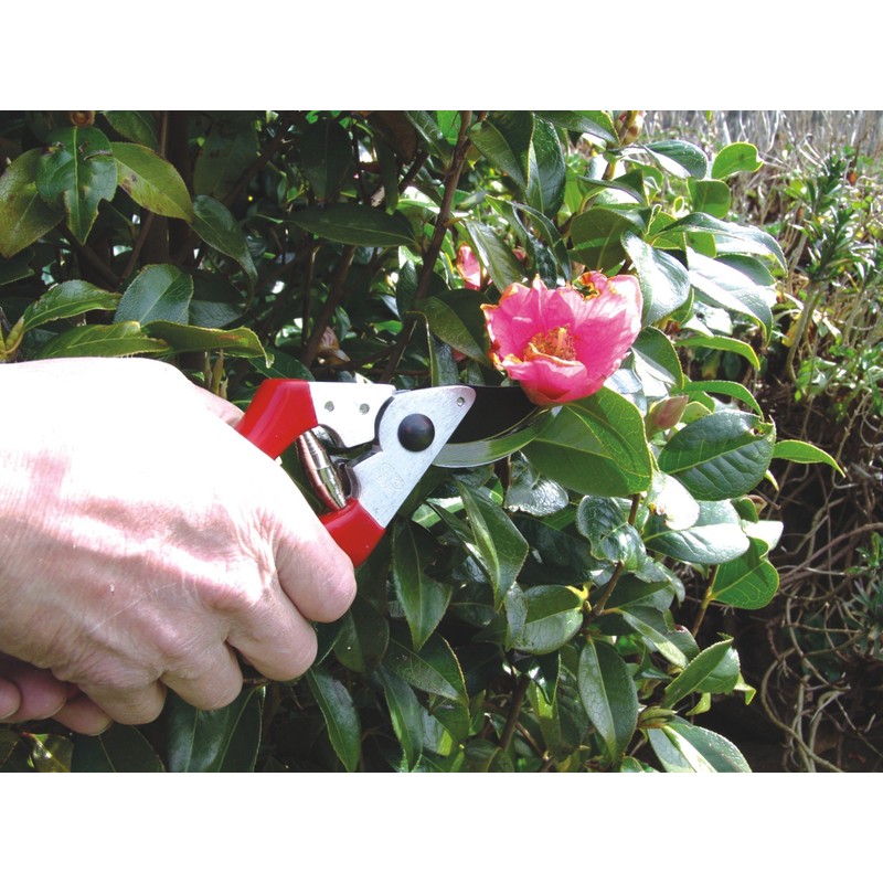 C.K Classic C.k 5631 Legend Bypass Pruners