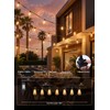 Minetom 100FT Outdoor String Lights with Remote, ST38 Patio Lights