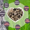 VIGOROUS MOUNTAINS Organic Dried Edible Black Fungus Wood Ear Mushrooms