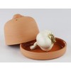 Eurita by Reston Lloyd Terra Cotta Garlic Roaster, Natural