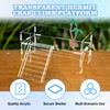 Swirge Acrylic Hermit Crab Climbing Platform with Ladder, Dual Level