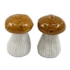 Novelty Glazed Ceramic Wooland Toadstool/Mushroom Cruet Set - Salt and