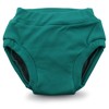 Kanga Care Ecoposh OBV Reusable Pull Up Toddler Underwear Potty