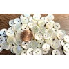 Unbranded 8 Fabulous Iridescent Cream Trocas Natural Shell MOP Buttons