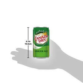 Ginger Ale Mini Soda Cans, 7.5 oz Soft Drinks Bulk Snacks Pack, Small Refrigerator & Snack Pantry Drink 12 Count Beverage Kitchen Supplies