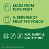 GoGo squeeZ Applesauce and Fruit Puree, Apple Apple, 3.2 oz