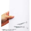 Daikoku Industry Place Mat, Plum 10.2 x 15.0 inches (26