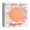 Profance 블러셔 색조화장품 5호 메이크업 볼터치 프로랑스 Blusher Color Makeup