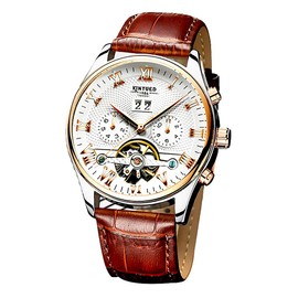 carlien Men's Self-Wind Tourbillon Mechanical Watches Water Resistant Automatic Skeleton Wristwatches (Silver Gold White Leather Strap)