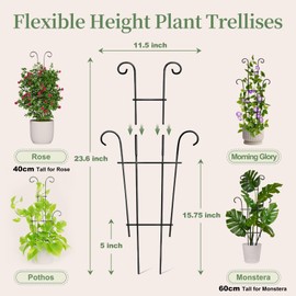 2 Pack 23.6 Inch Tall Metal Plant Trellis for Climbing Plants Indoor - Rustproof Garden Trellis for Potted Houseplants, Plant Support for Ivy, Pothos, Monstera, Hoya, Flower Vines (23inch/2 Pack)