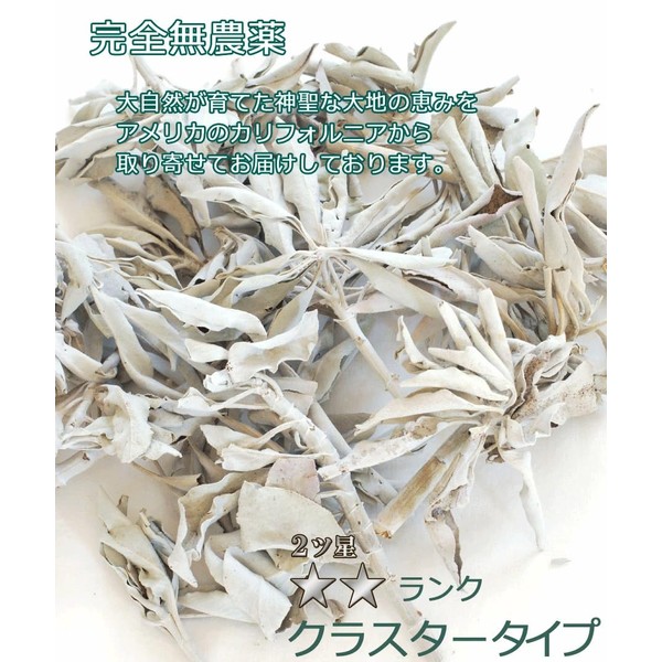 Pesticide-free Direct Import White Sage Cluster 17.6 oz (500 g) with Branches