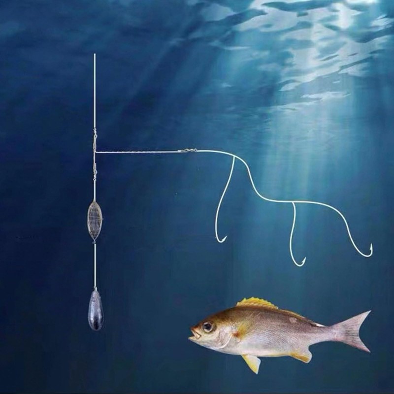 Crawfish Trap Bait | Fishing Feeder Bait Cage | Stainless