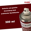 Scheibenreiniger 300 ml