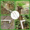 AIMALL Stainless Steel Weeder Tool with Wooden Handle, Lightweight Garden