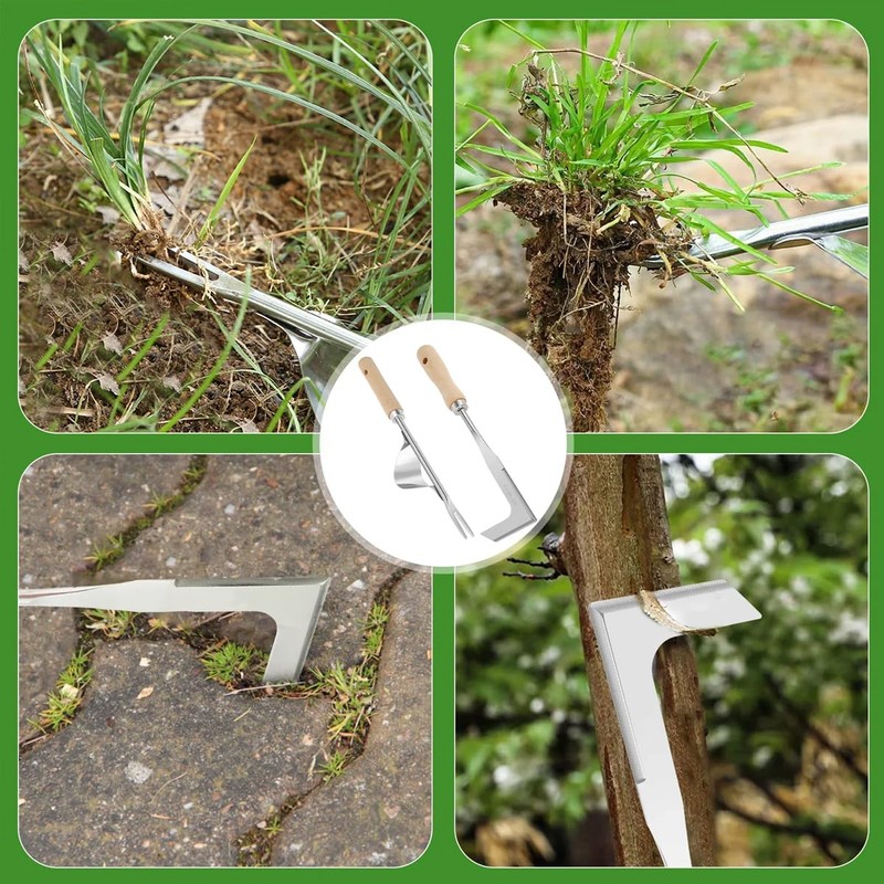 AIMALL Stainless Steel Weeder Tool with Wooden Handle, Lightweight Garden