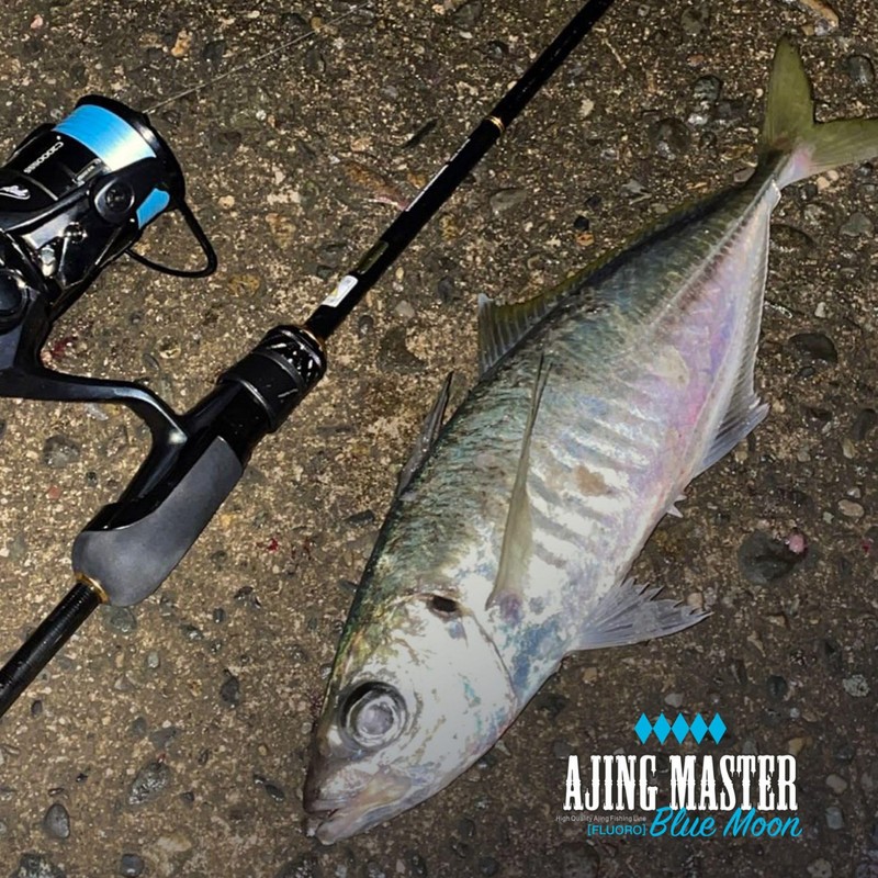 VARIVAS (バリバス) Ajing Master Fluorocarbon Blue Moon 150m 4Lb (No.