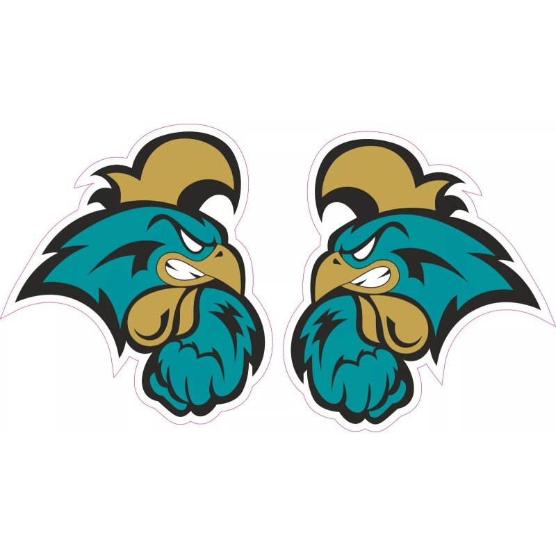 Coastal Carolina Inspired Full Size Football Helmet Decals